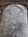 image of grave number 586922